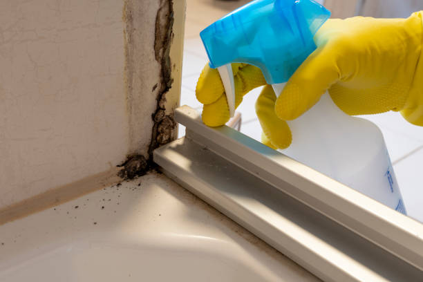 Best Mold Testing  in North Olmsted, OH